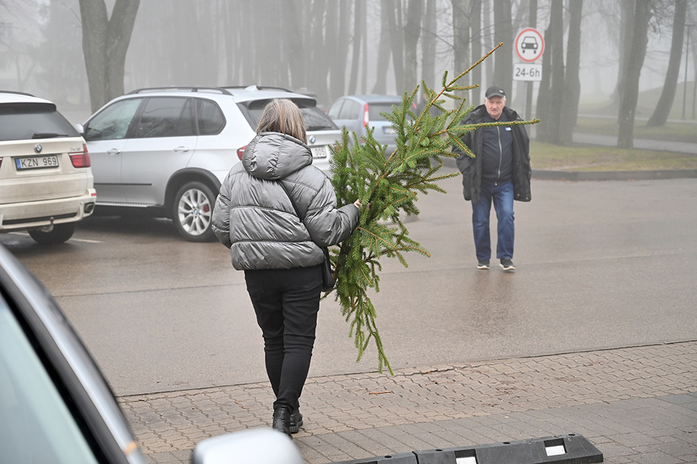parsinesk kaledas4