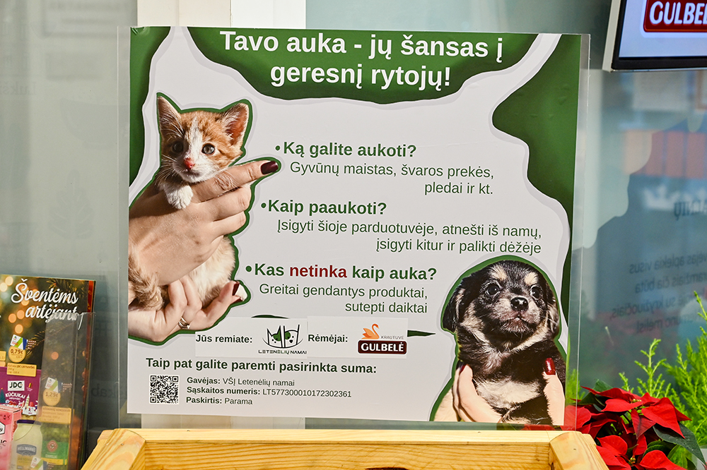 dezute aukoms gyv2