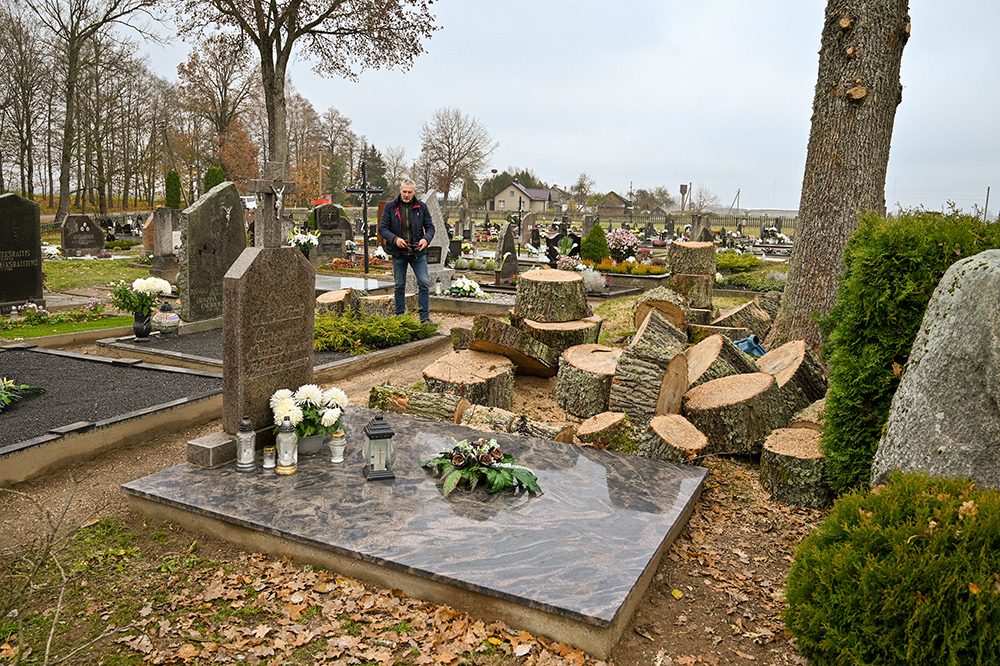 kapinese slavikuose medis2